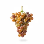 Monbazillac