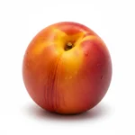 Nectarine