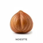 Noisette torréfiée