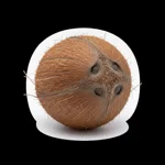 Noix de coco