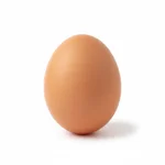 Oeuf bio