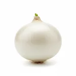 Oignon blanc