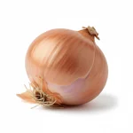 Oignon frais