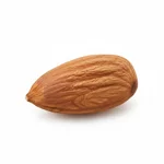 Oléagineux