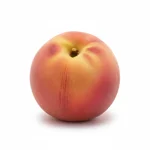 Pêche