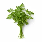 Persil frais