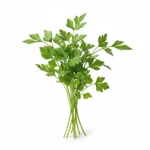 Persil plat