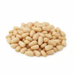 Pignon de pin
