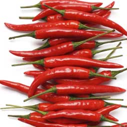 Piment d'Espelette
