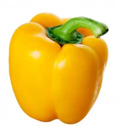 Poivron jaune