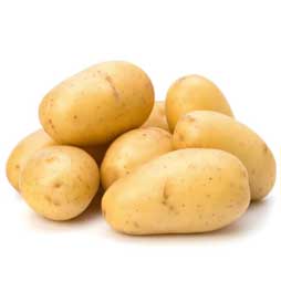 Pomme de terre agria