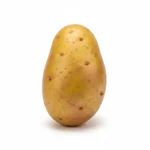 Pomme de terre Samba