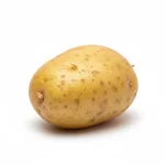 Pomme de terre Yukon