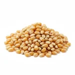 Pop corn