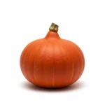 Potimarron