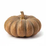 Potiron