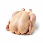 Poule