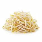 Pousse de soja