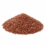Quinoa rouge
