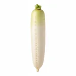 Radis blanc