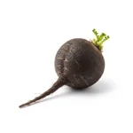 Radis noir
