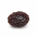 Raisin
