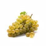 Riesling