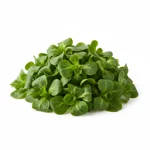 Salade mâche