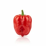 Sauce piment