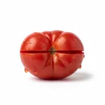Sauce tomate