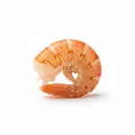 Scampi