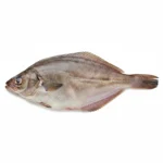 Sole