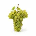 Sylvaner