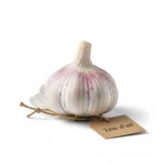 Tête d'ail