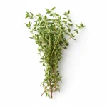 Thym frais