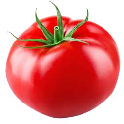 Tomate datterino de Sicile