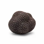 Truffe noire
