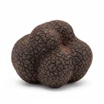 Truffe