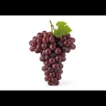 Vin rouge Côtes du Rhône