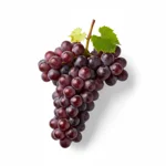 Vin rouge